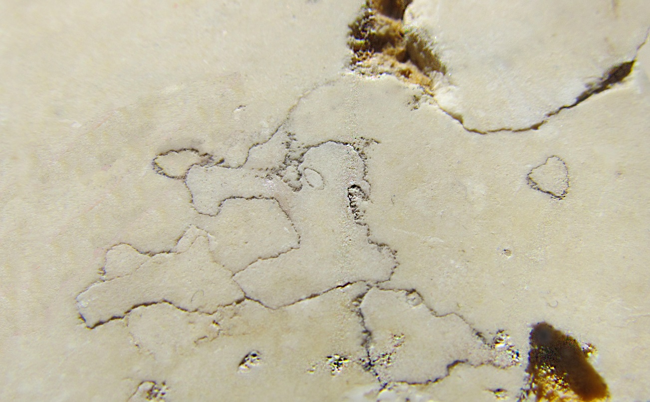 Defects and quality assessment of Jurassic stone