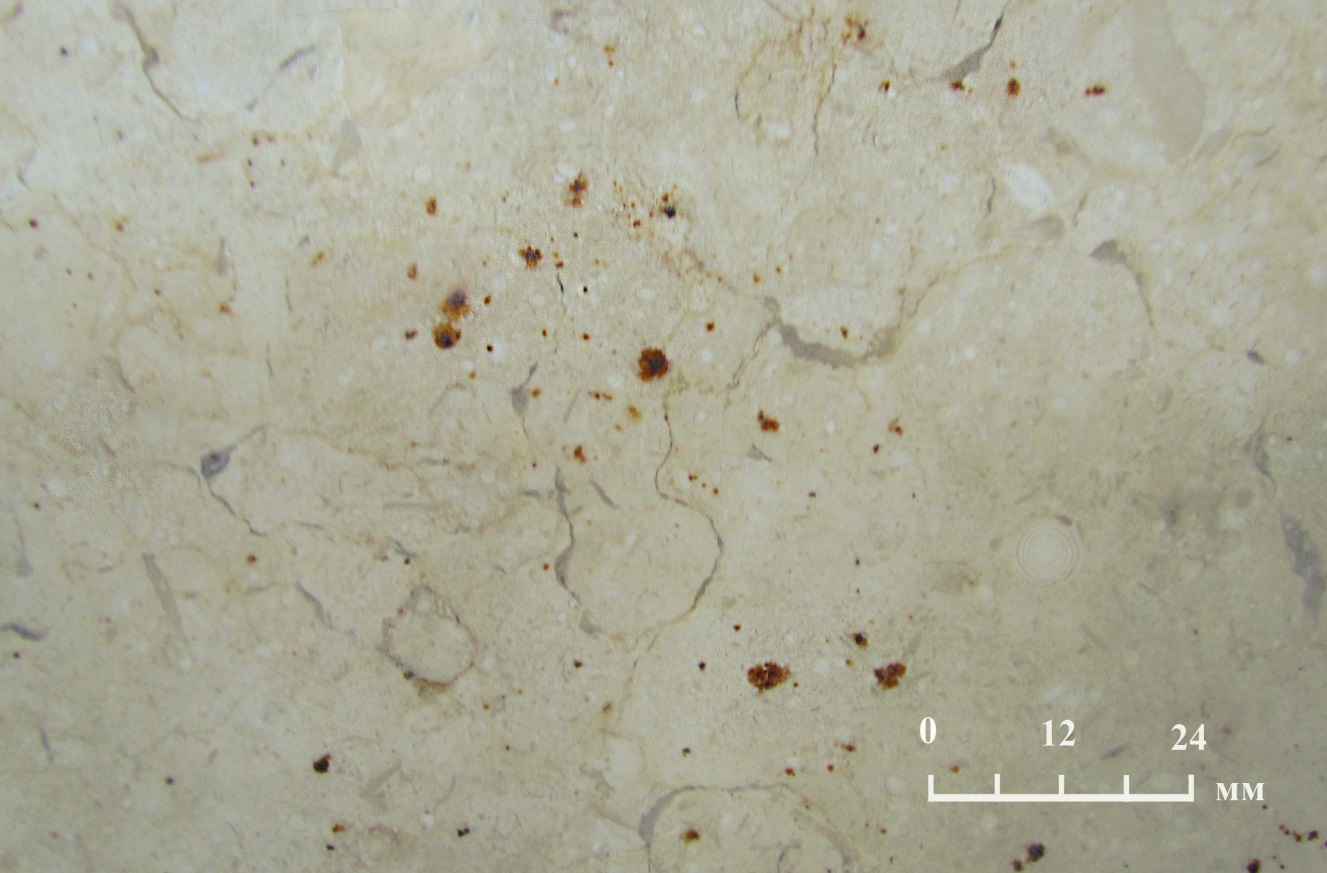 Defects and quality assessment of Jurassic stone